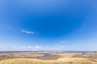 「無題」のサムネイル画像