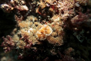 「無題」のサムネイル画像