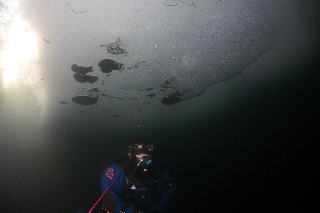 「無題」のサムネイル画像