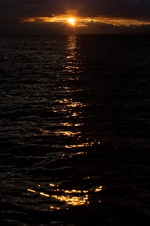 「無題」のサムネイル画像