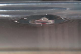 「無題」のサムネイル画像