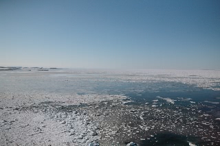 「無題」のサムネイル画像