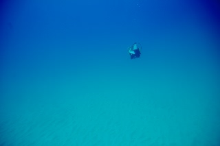 「無題」のサムネイル画像