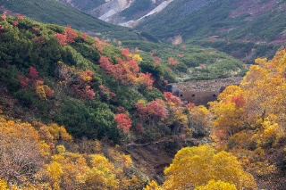 「無題」のサムネイル画像