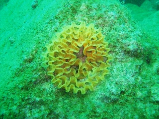 「卵」のサムネイル画像