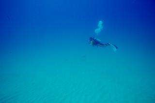 「無題」のサムネイル画像