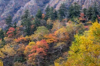 「無題」のサムネイル画像