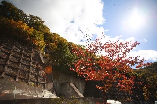 「無題」のサムネイル画像