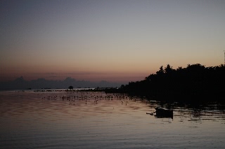 「無題」のサムネイル画像