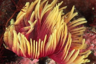 「無題」のサムネイル画像