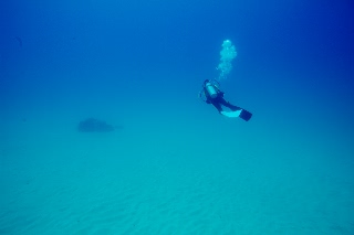 「無題」のサムネイル画像