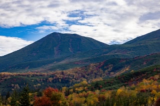 「無題」のサムネイル画像