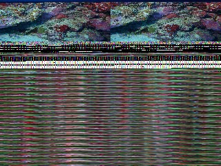 「無題」のサムネイル画像