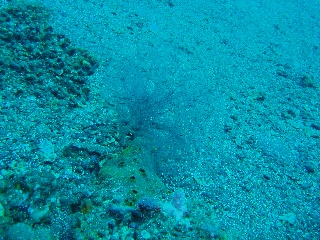 「無題」のサムネイル画像