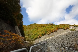 「無題」のサムネイル画像