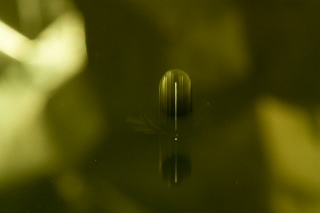 「無題」のサムネイル画像