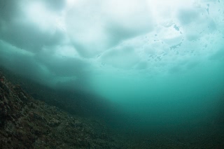 「無題」のサムネイル画像