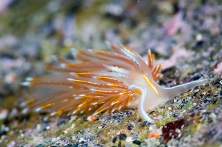 「無題」のサムネイル画像