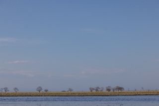 「無題」のサムネイル画像