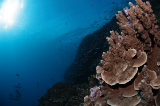 「無題」のサムネイル画像