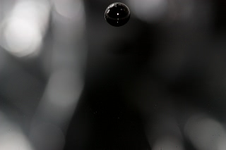 「無題」のサムネイル画像